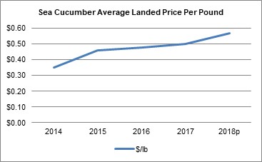Graphic of sea Cucumber Landed Price (Average $/lb) – NL Region. 2018p is premilimary data. Source: Policy and Economics Branch – NL Region