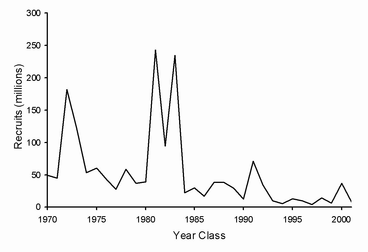 Fig. 10. 4VsW cod: Year class strengths