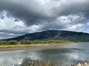 Image : Estuaire de la rivière Cowichan (Cowichan Bay, C.-B.)