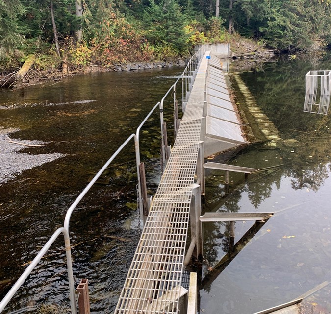 Image : L’installation de dénombrement des smolts de la Kitwanga