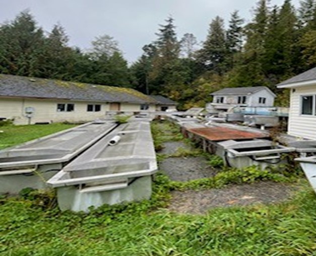 Image : McLoughlin Creek Hatchery (Bella Bella, C.-B.)