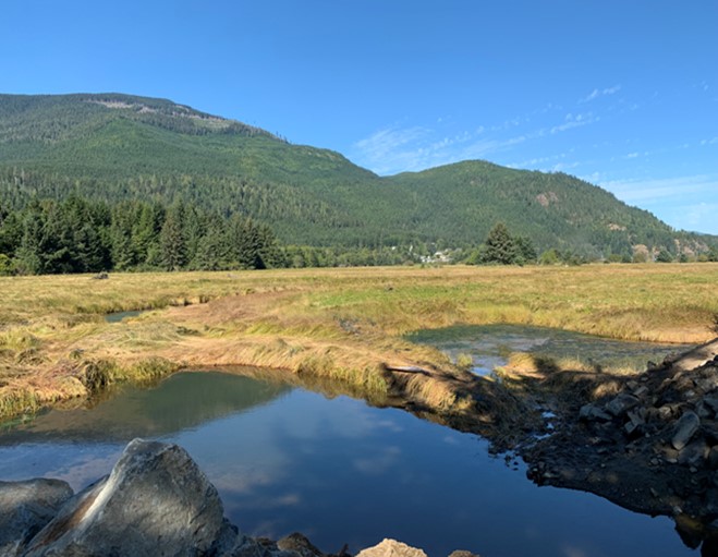 Image : Estuaire de la rivière Salmon (Sayward, C.-B.)