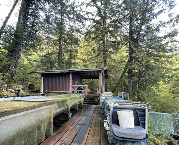 Image : Victor Creek Sockeye Hatchery (Klemtu, C.-B.)