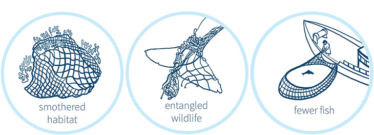 Illustrations of a smothered habitat, entangled whale tail, and fish being caught.