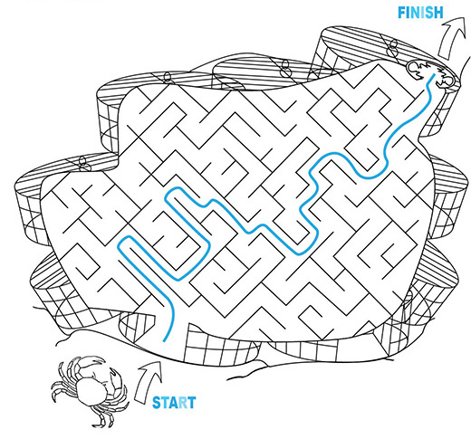 The correct route is shown for the maze activity.