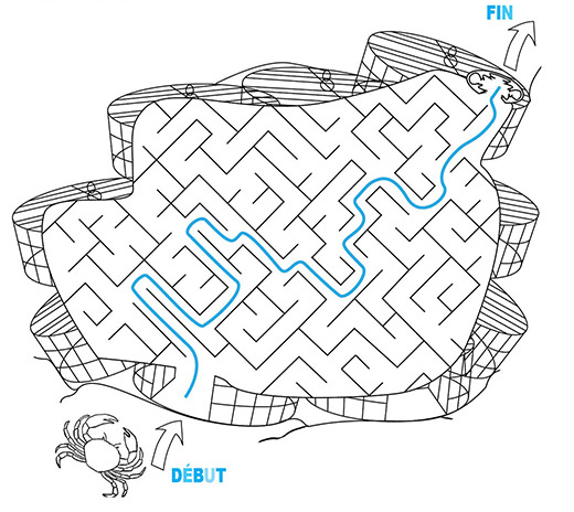 L'itinéraire correct est indiqué pour l'activité du labyrinthe.