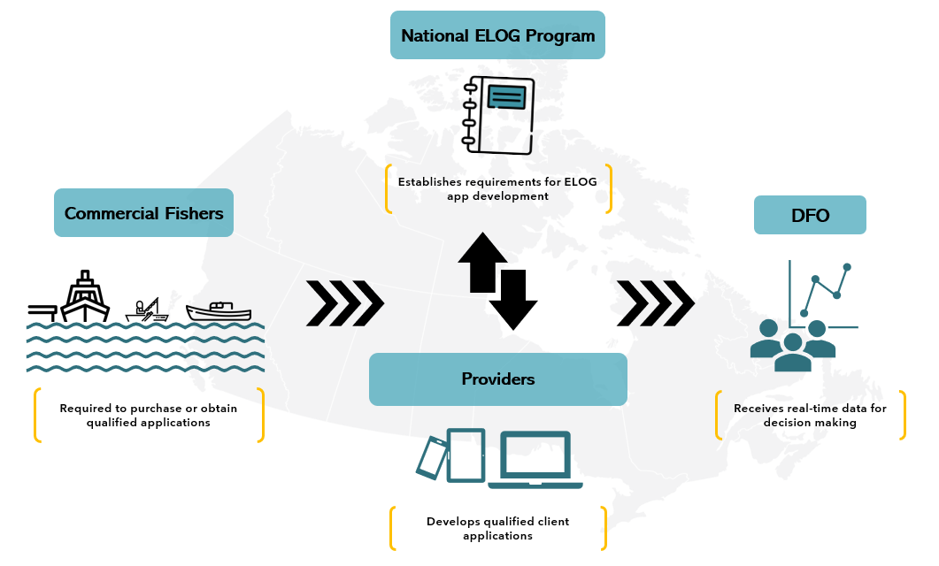 ELOGs at a glance visual