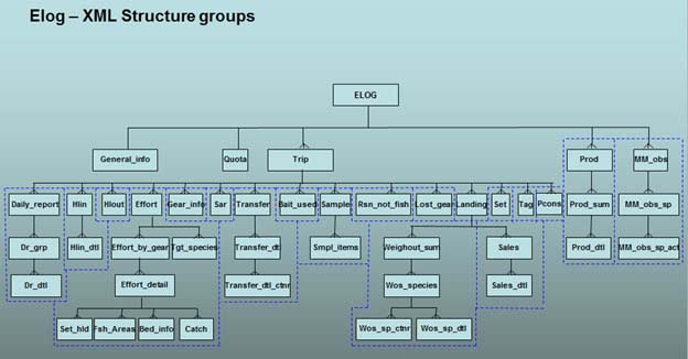 XML structure groups