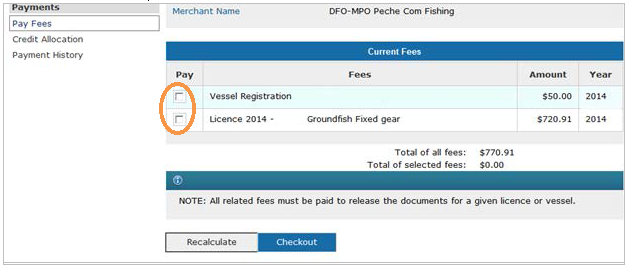 This is an image of the Pay Fees screen, where the fee checkboxes are circled in orange