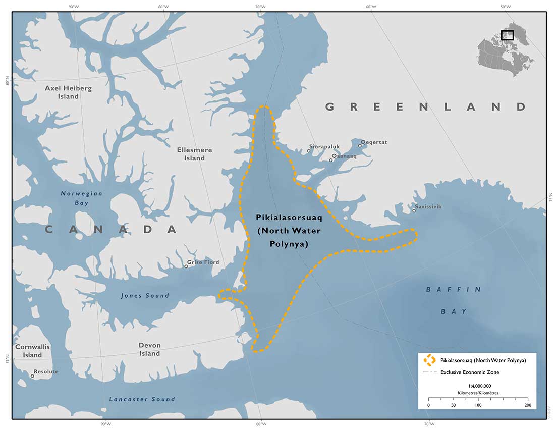 Map: Pikialasorsuaq (North Water Polynya). Copyright DFO.