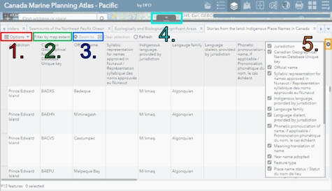 The Attribute table with the actions “options”, “Filter by map extent”, “zoom to”,    “tab with triangle” and “plus” highlighted.