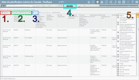 La table des attributs avec les actions « options », filtrer selon l'étendue de la carte »,    « zoom » surlignées