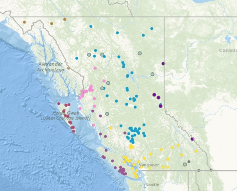 Map with points showing the query results