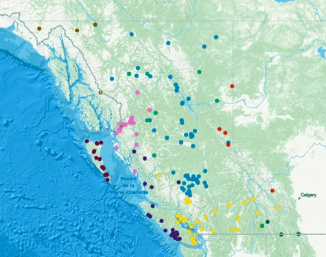 Carte avec des points démontrant les résultats de la requête.