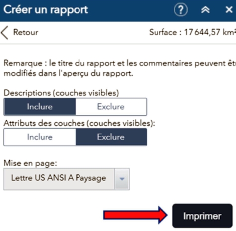 Widget Créer un rapport ouvert. Instructions expliquant qu'il faut cliquer sur le bouton Imprimer.