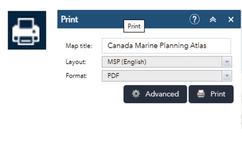 Print widget button and the features within the open print window.