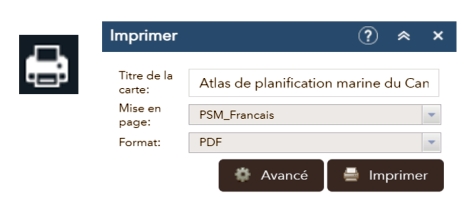 Le bouton du widget Imprimer et les caractéristiques de la fenêtre ouverte d'impression.