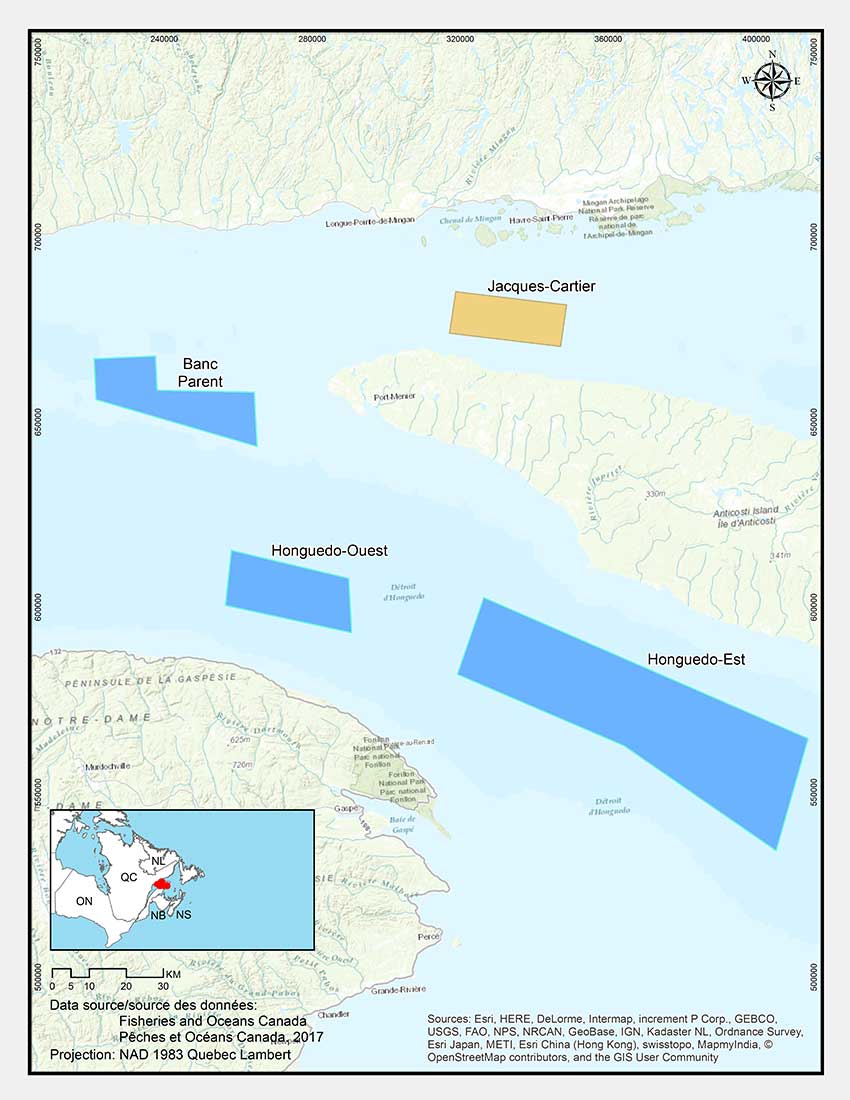 Zone de conservation des éponges du détroit Jacques-Cartier