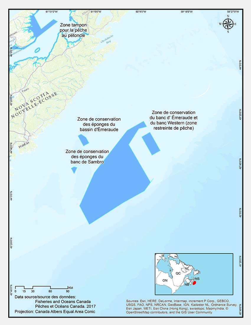 Zone de conservation du banc d'Émeraude et du banc Western (zone restreinte de pêche)