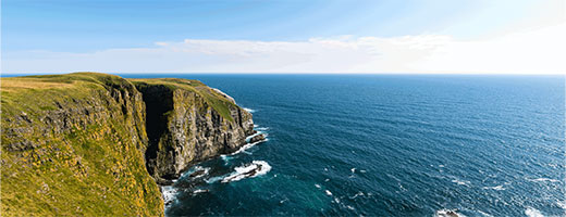 Cape St-Mary's Ecological Reserve