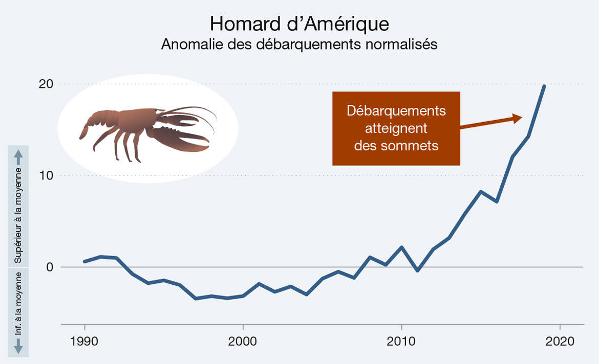 Ce graphique linéaire illustre l’anomalie normalisée des débarquements de homard d’Amérique provenant des eaux canadiennes de l’Atlantique entre 1990 et 2020. Version texte ci-dessous.