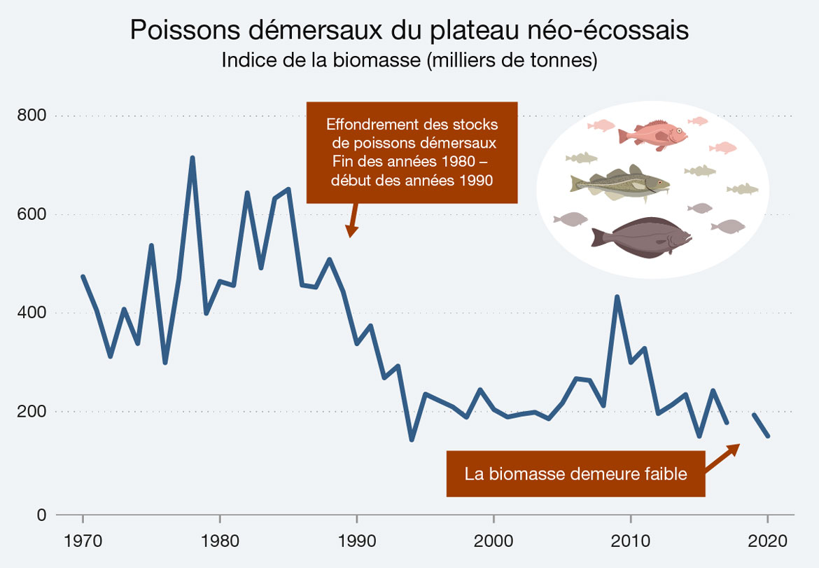 Ce graphique linéaire illustre l’indice de la biomasse des poissons démersaux dans l’est du plateau néo-écossais entre 1970 et 2020. Version texte ci-dessous.