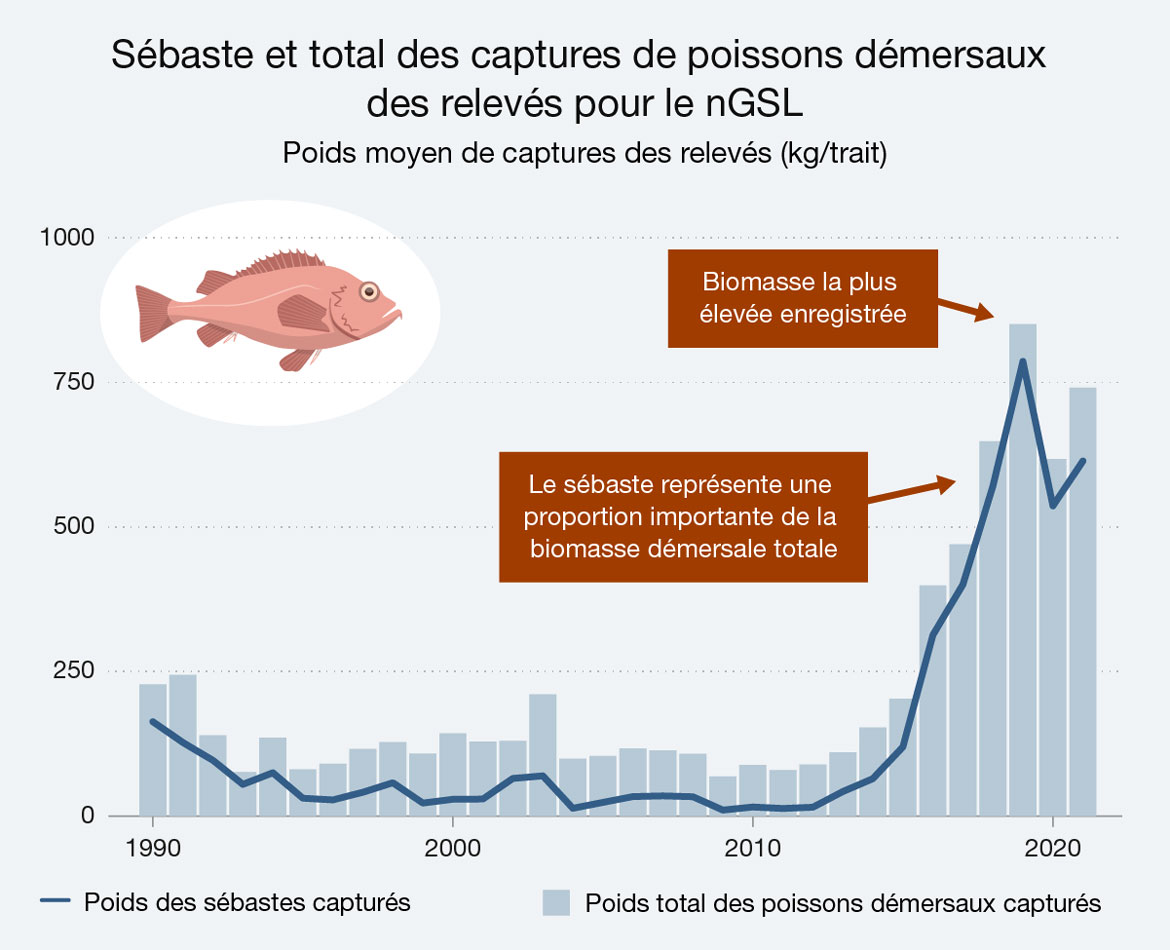 Ce graphique à lignes et à barres illustre les prises de sébastes et les prises totales de poissons démersaux lors des relevés menés dans le nord du golfe du Saint-Laurent entre 1990 et 2020. Version texte ci-dessous.
