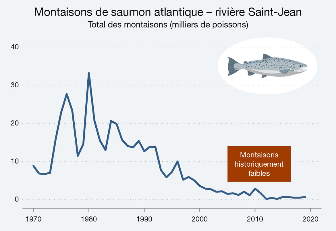 Ce graphique linéaire illustre les remontes de saumon atlantique dans la rivière Saint-Jean entre 1970 et 2019. Version texte ci-dessous.