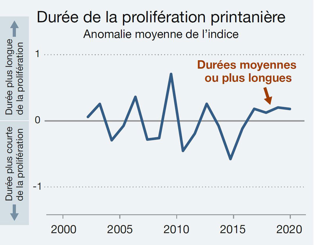 Graphique linéaire représentant l’anomalie de l’indice moyen pour la durée de la prolifération printanière du phytoplancton dans les eaux canadiennes de l’Atlantique entre 2003 et 2020. Version texte ci-dessous.