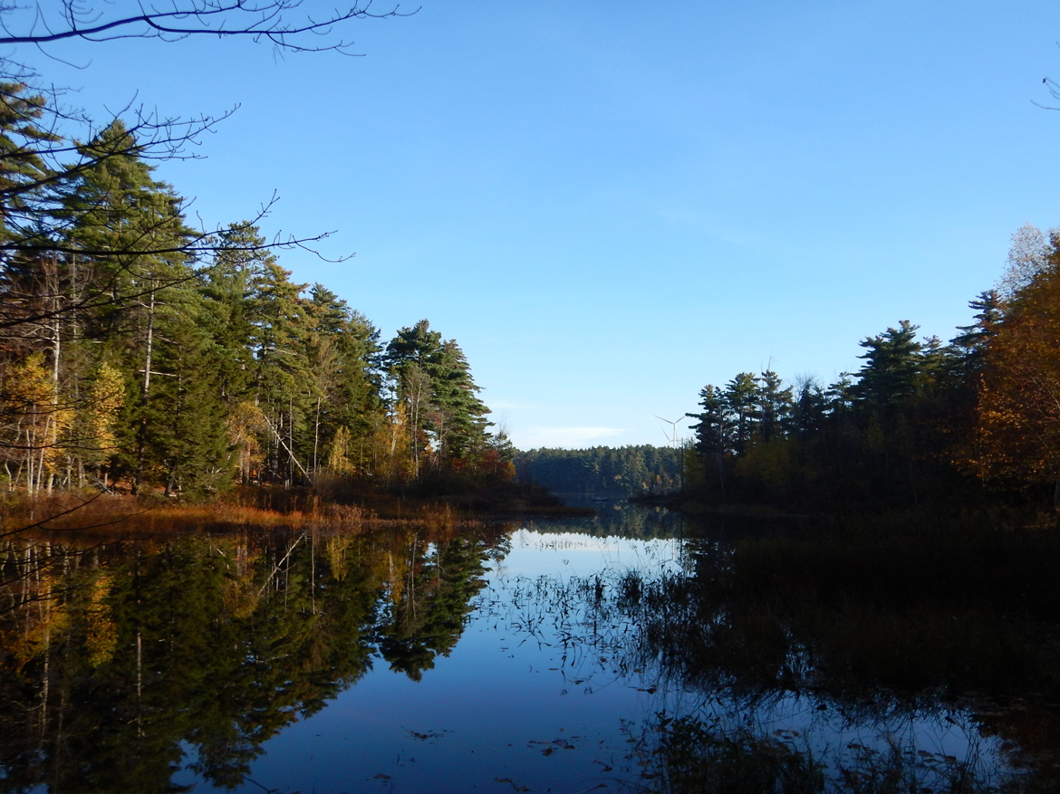 Un lac calme entouré d'arbres en Nouvelle-Écosse. Les arbres se reflètent dans le lac.
