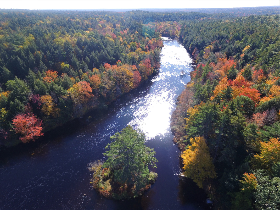 Vue aérienne d'une rivière en automne. La rivière reflète la lumière du soleil et les arbres environnants sont un mélange de vert, de rouge, de jaune et d'orange.