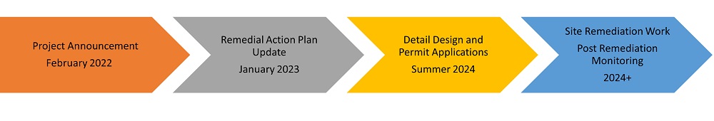 Next steps and timelines