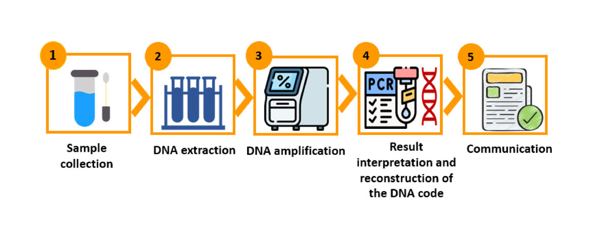 A graphic showing the steps of general Environmental DNA (eDNA) analysis