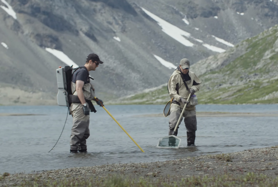 electrofishing