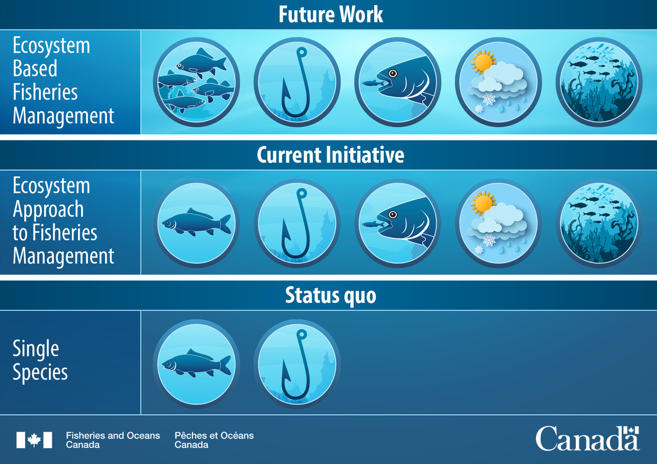 Infographic explaining an Ecosystem Approach to Fisheries Management