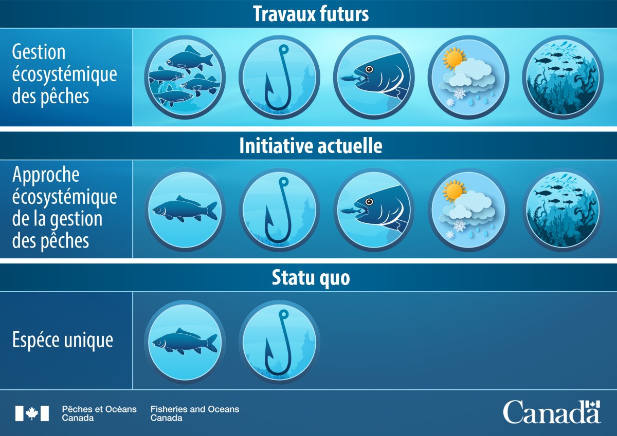 Une infographie décrivant l'éventail des stratégies de gestion de la pêche