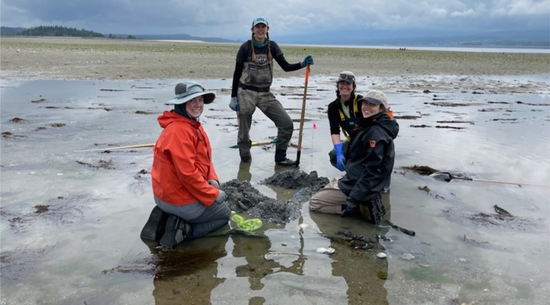 Team of 4 scientists conducting an intertidal clam survey on Seal Island, British Columbia.