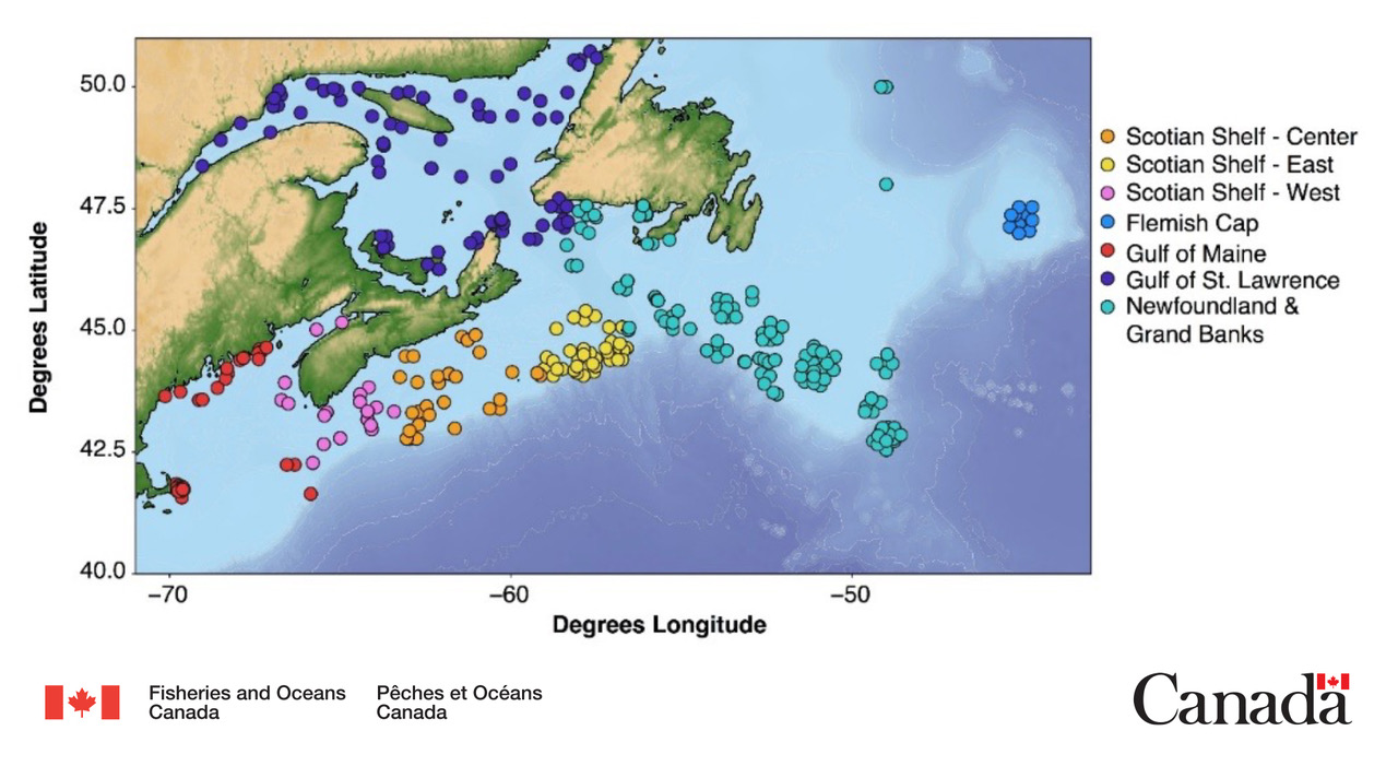 Map of Atlantic Halibut genetic samples