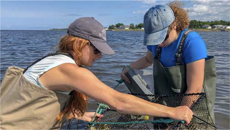 2 scientists collecting data in the field