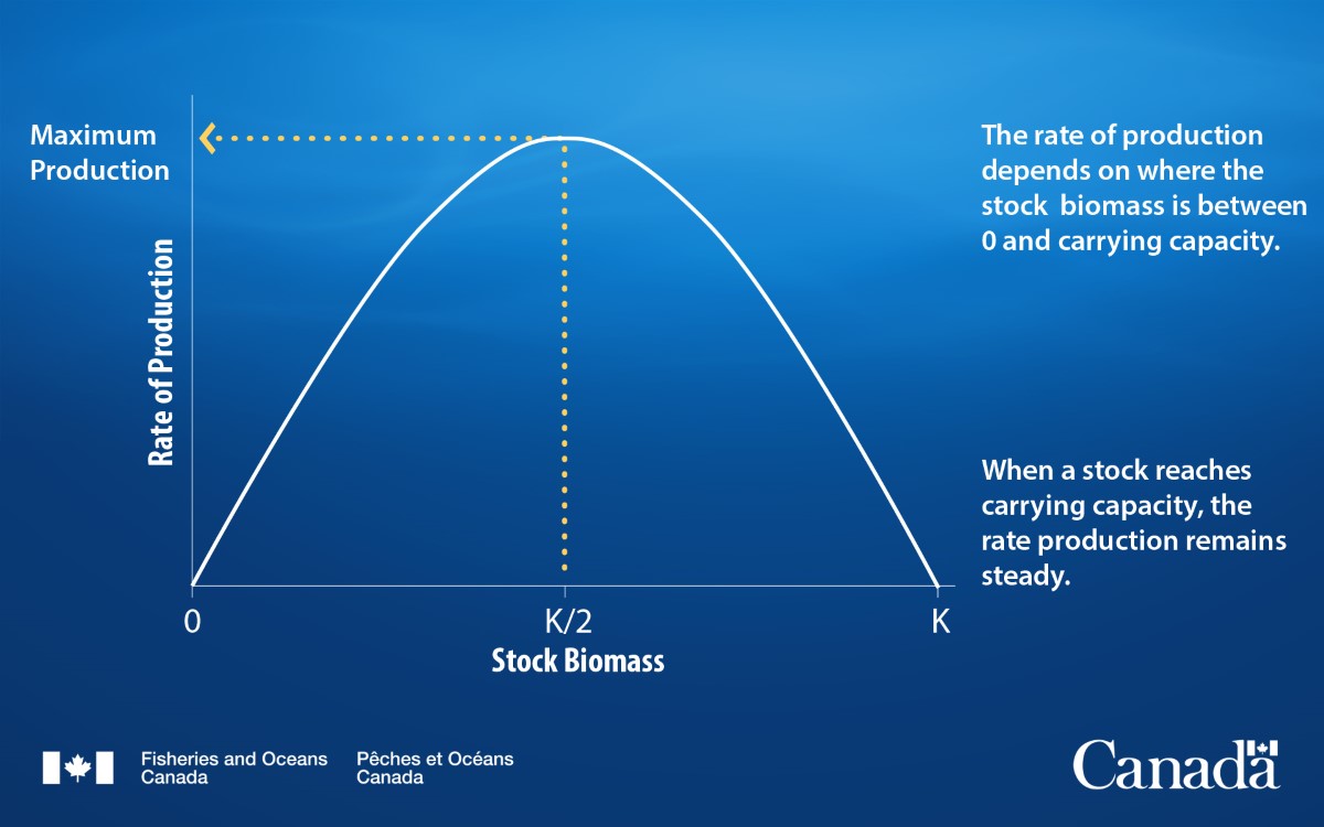 surplus production curve