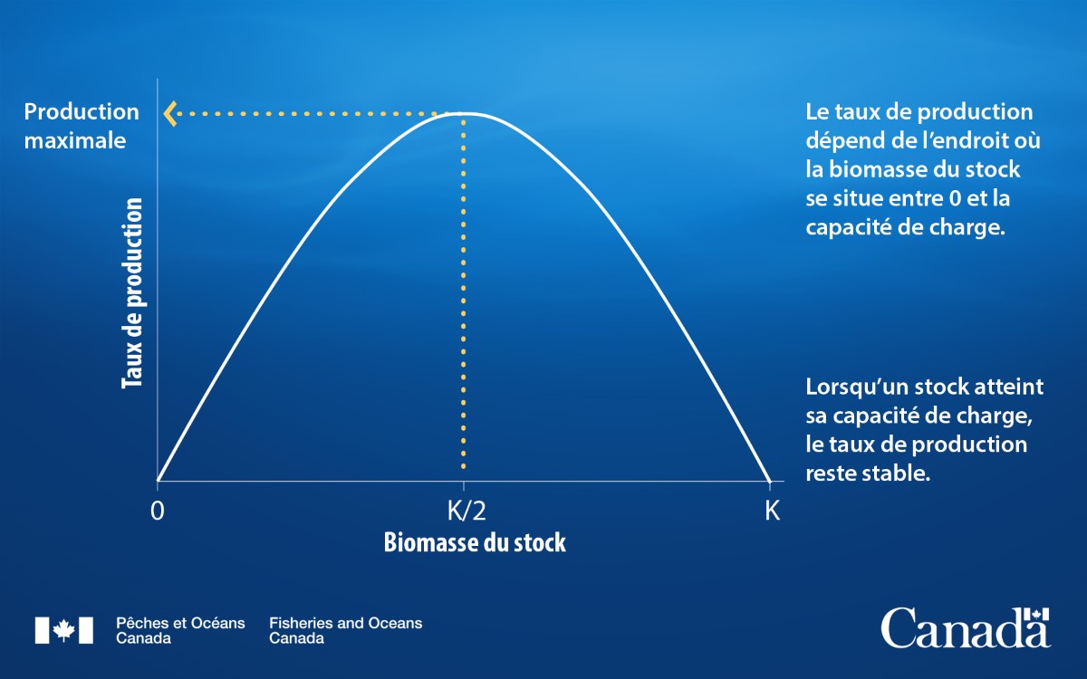 surplus production curve