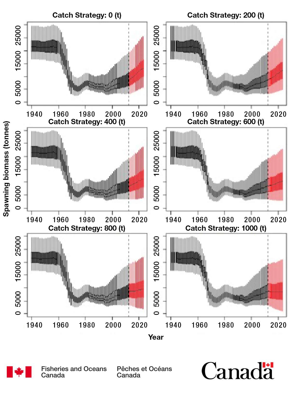 Graph of historical and projected spawning stock biomass at various catch levels