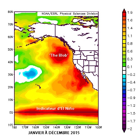 Anomalies de température à la surface de la mer dans le nord-est de l’océan Pacifique en 2015 – NOAA