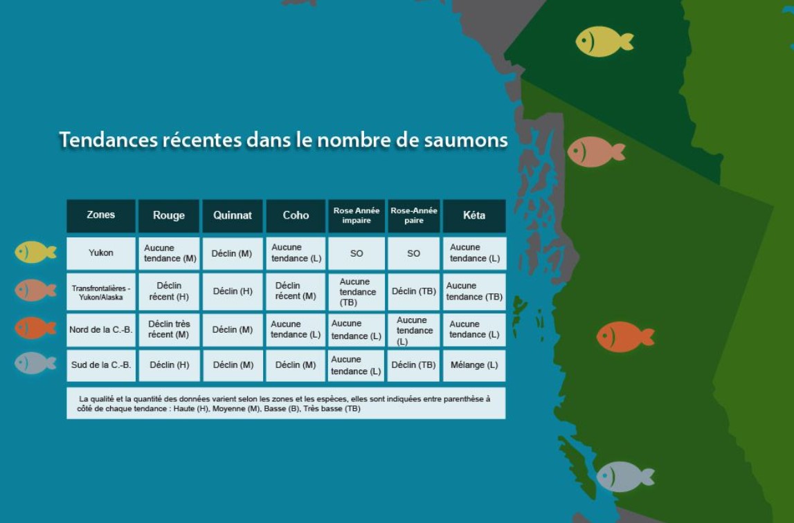 Tendances récentes de la quantité de saumons