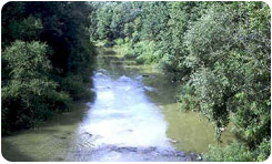 rivière Sydenham