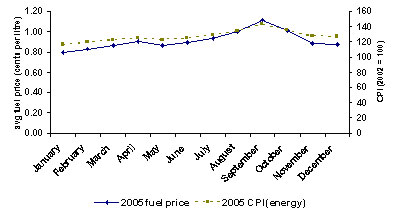 A line graph depicting the average retail prices for gasoline (cents per litre) and energy consumer price index (CPI), by Month for Ontario in 2005