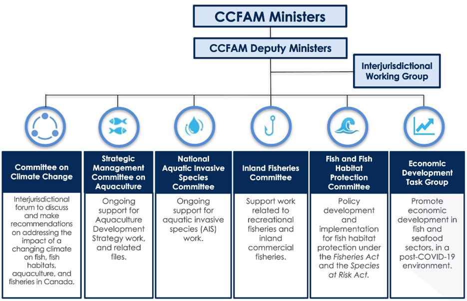 Flow chart showing the engagement structure for CCFAM. See description below.
