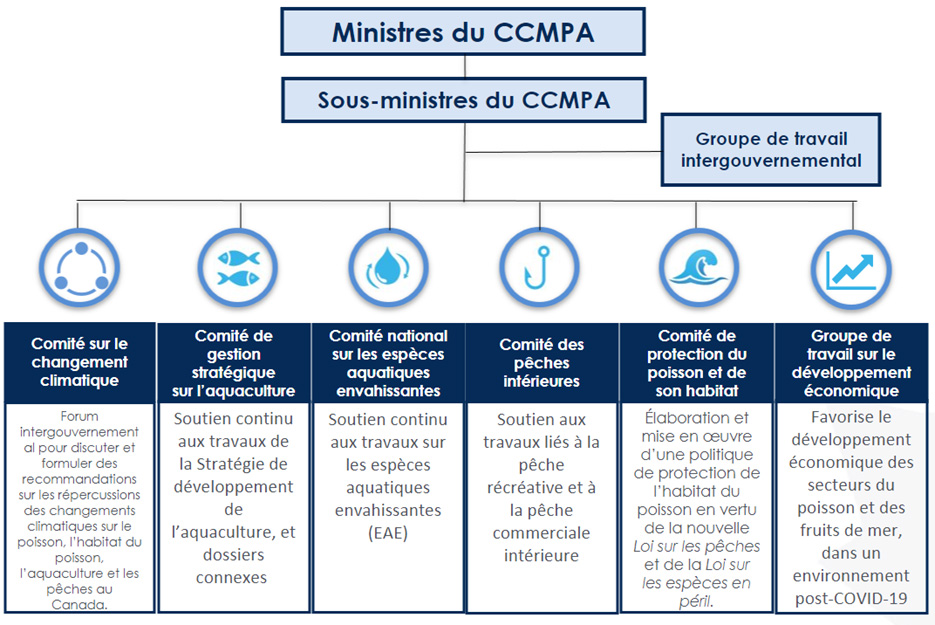 Organigramme qui montre la structure d'engagement du CCMPA. Voir la description ci-dessous.