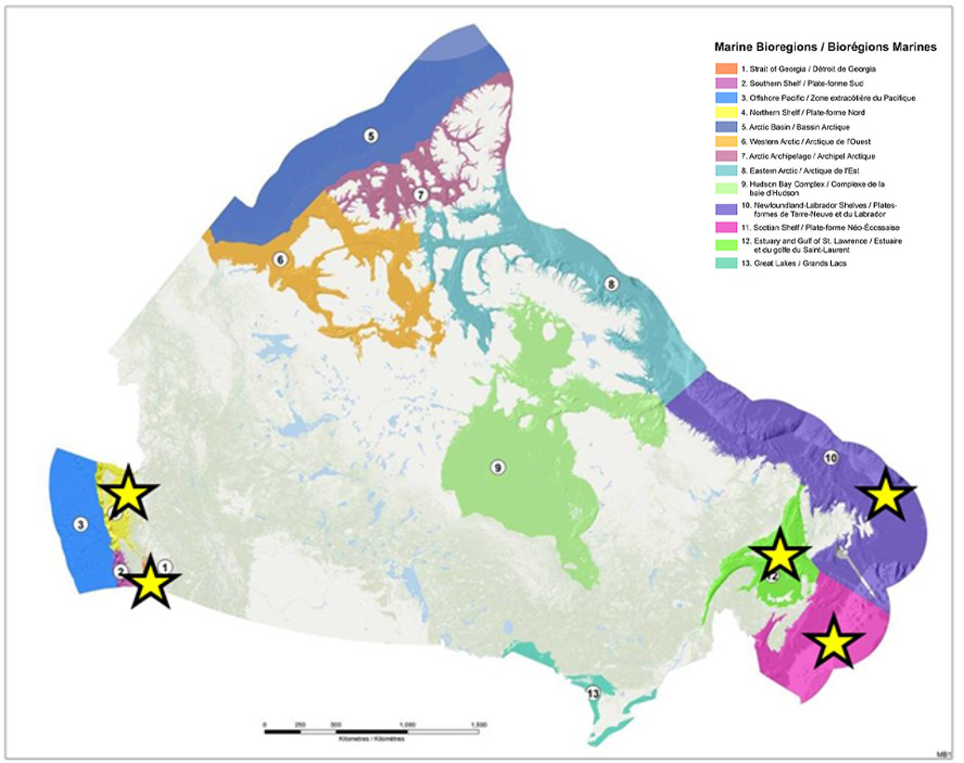 Biorégions marines représentées sur une carte du Canada. Voir la description ci-dessous.