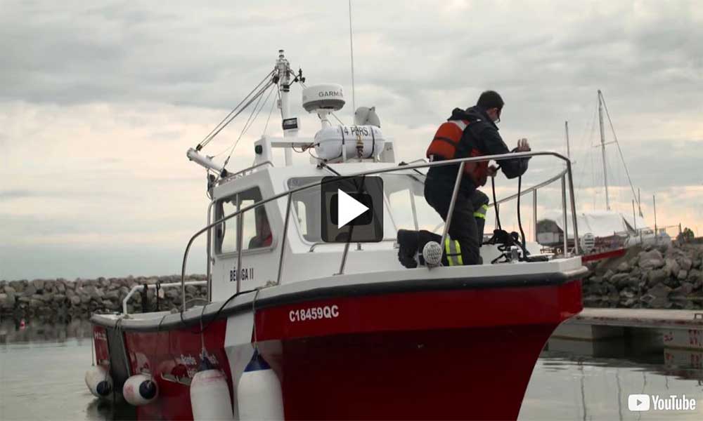 Vidéos liées à Pêches et Océans Canada